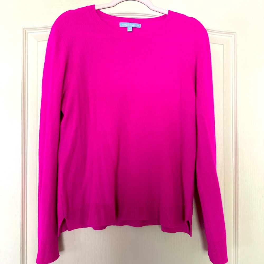 100% Cashmere Antonio Melani Luxury Collection Cameron Crew Neck Sweater